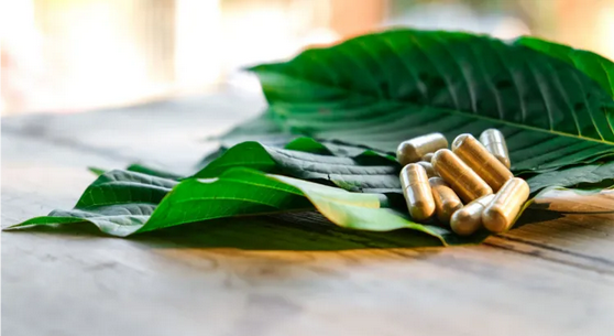 Shop Premium Kratom Online | FullyKratom.com