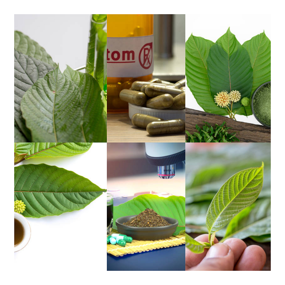 Mixing Kratom Strains at Home: A Comprehensive Guide